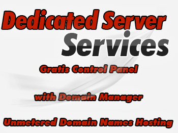 Inexpensive dedicated servers hosting services